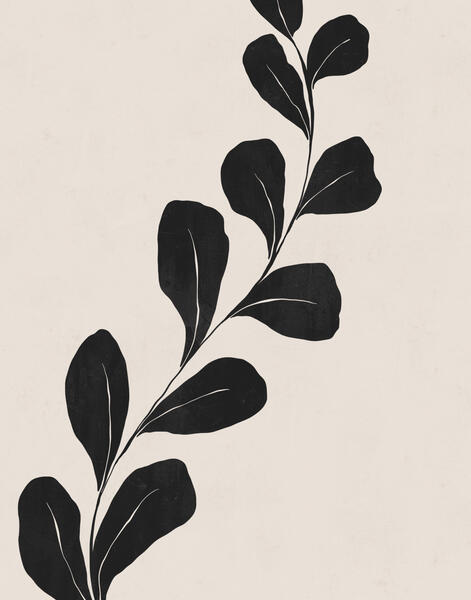 Firum Studio offers a curated collection of modern, elegant, and trend-forward printable wall art designed to transform interiors. From minimalist abstracts to abstract botanicals and statement pieces, our digital art prints bring personality and style to