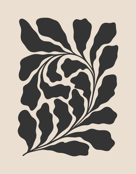 Firum Studio offers a curated collection of modern, elegant, and trend-forward printable wall art designed to transform interiors. From minimalist abstracts to abstract botanicals and statement pieces, our digital art prints bring personality and style to